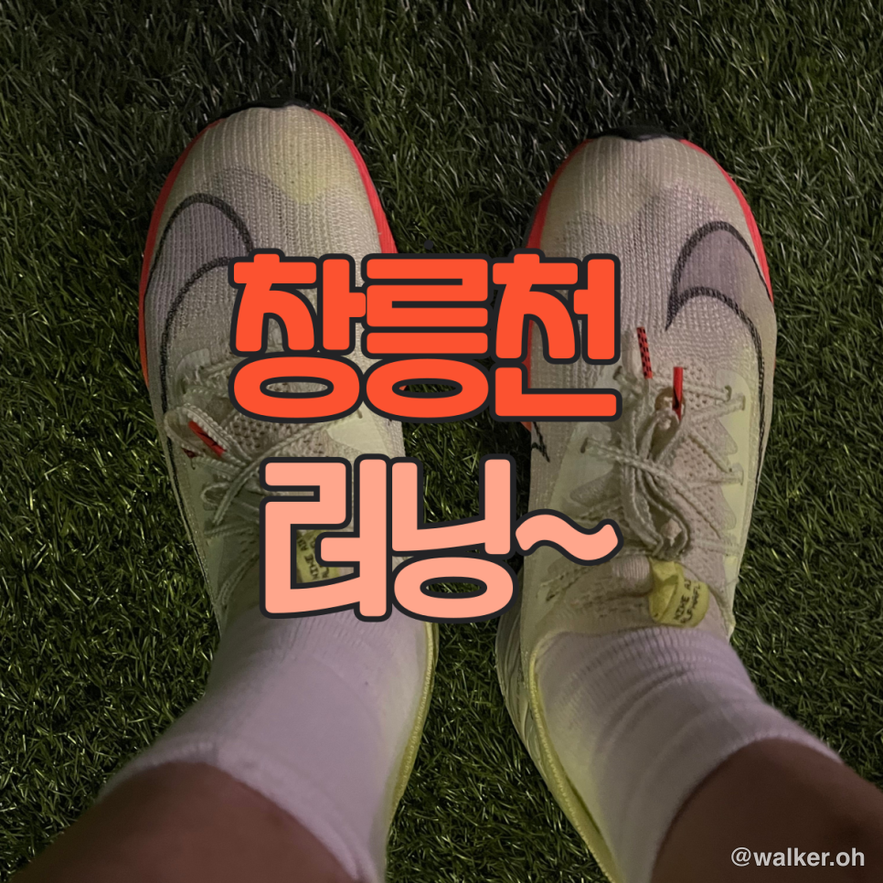 저녁 러닝