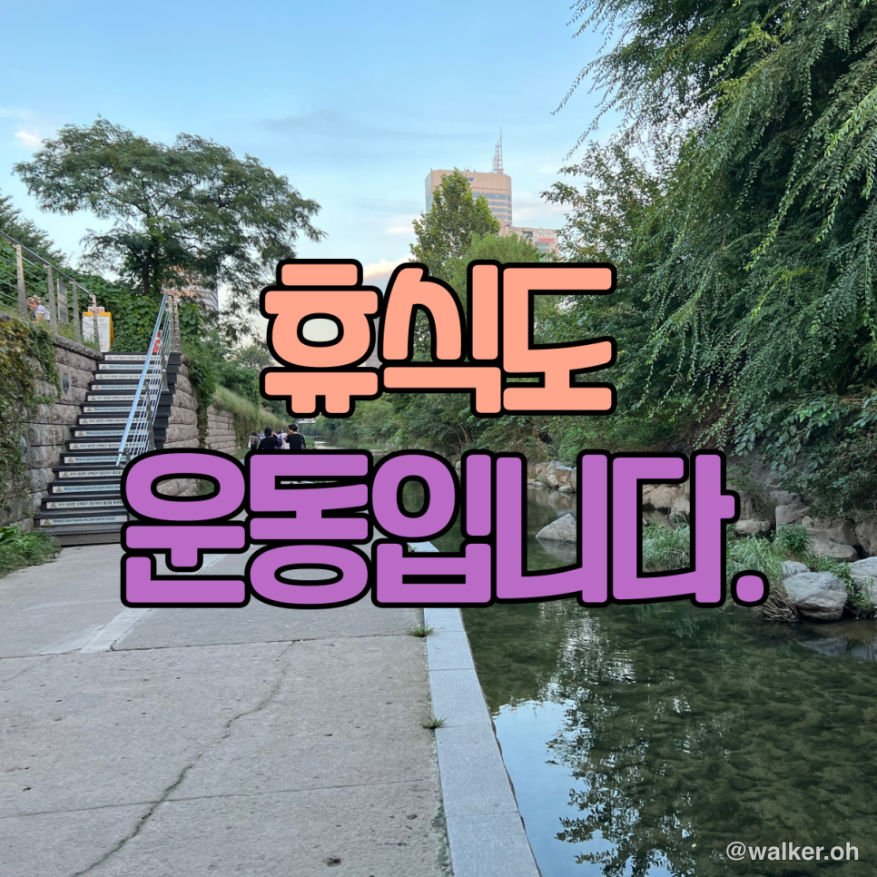 오늘은 쉽니다.