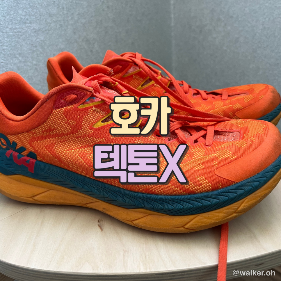 트레일러닝화...?