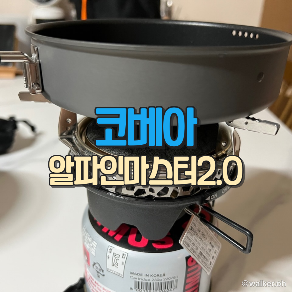 코베아 알파인 마스터 2.0 구입