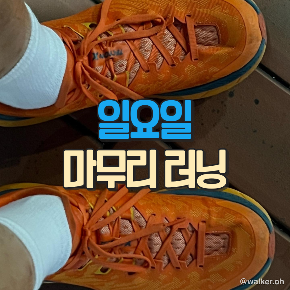 일요일 마무리 러닝