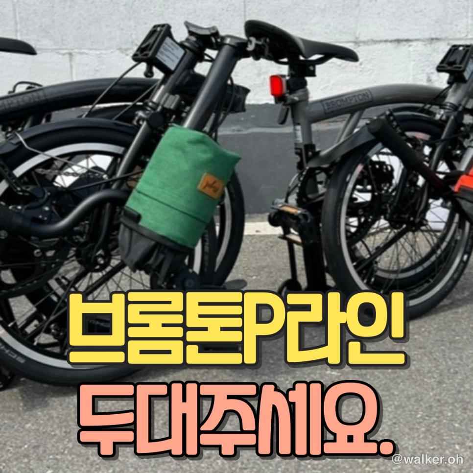 브롬톤 P라인 로우바 기추