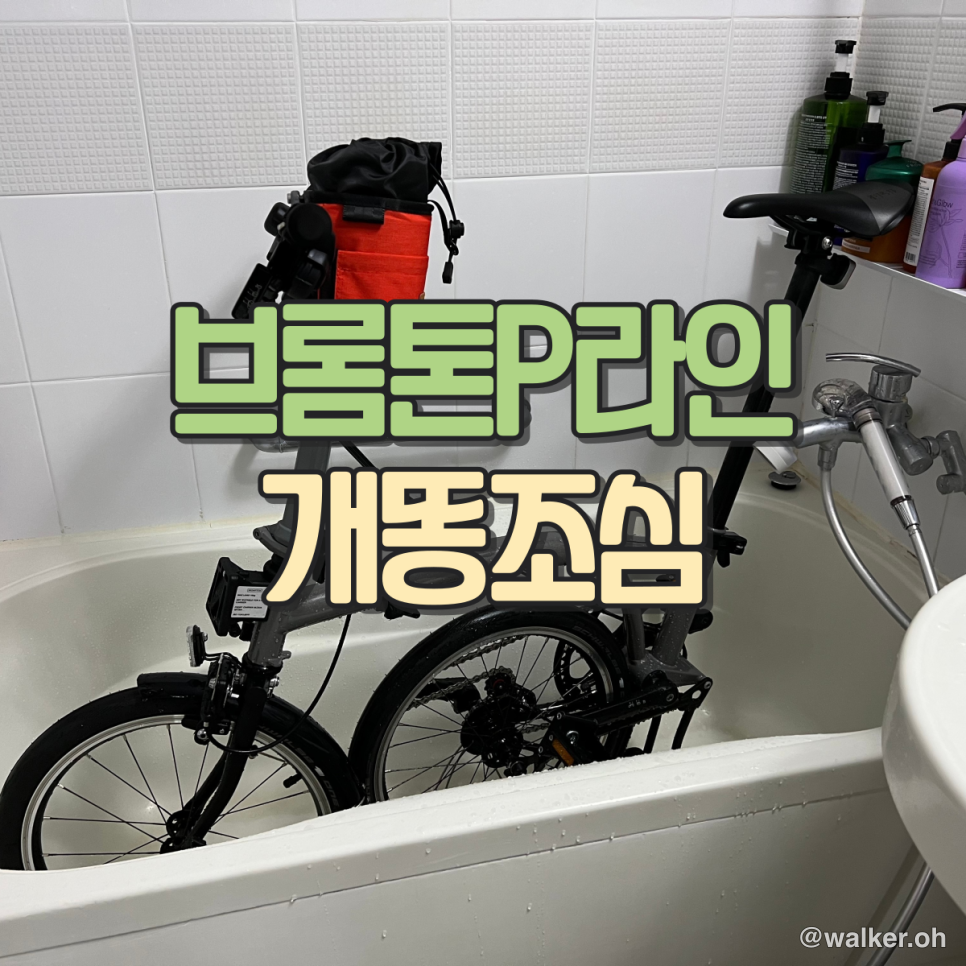 브롬튼 주말 라이딩
