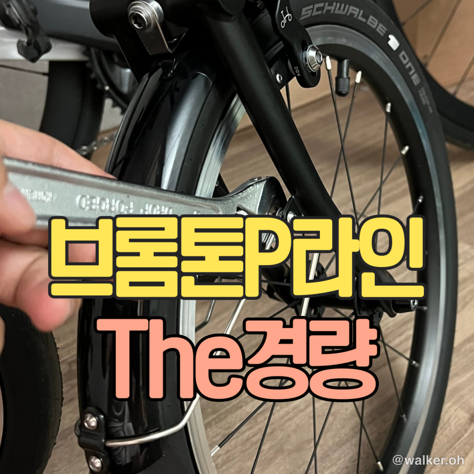브롬튼 P라인 THE 경량