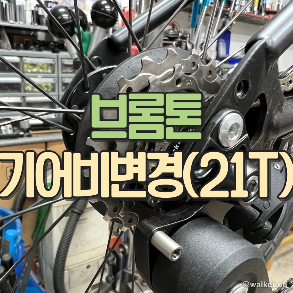 브롬튼 P라인 기어비 변경(21T),페달 교체