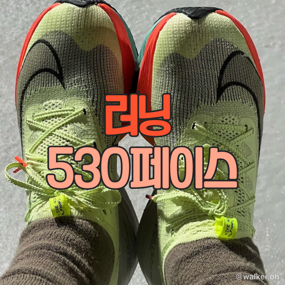 530페이스 유지 훈련