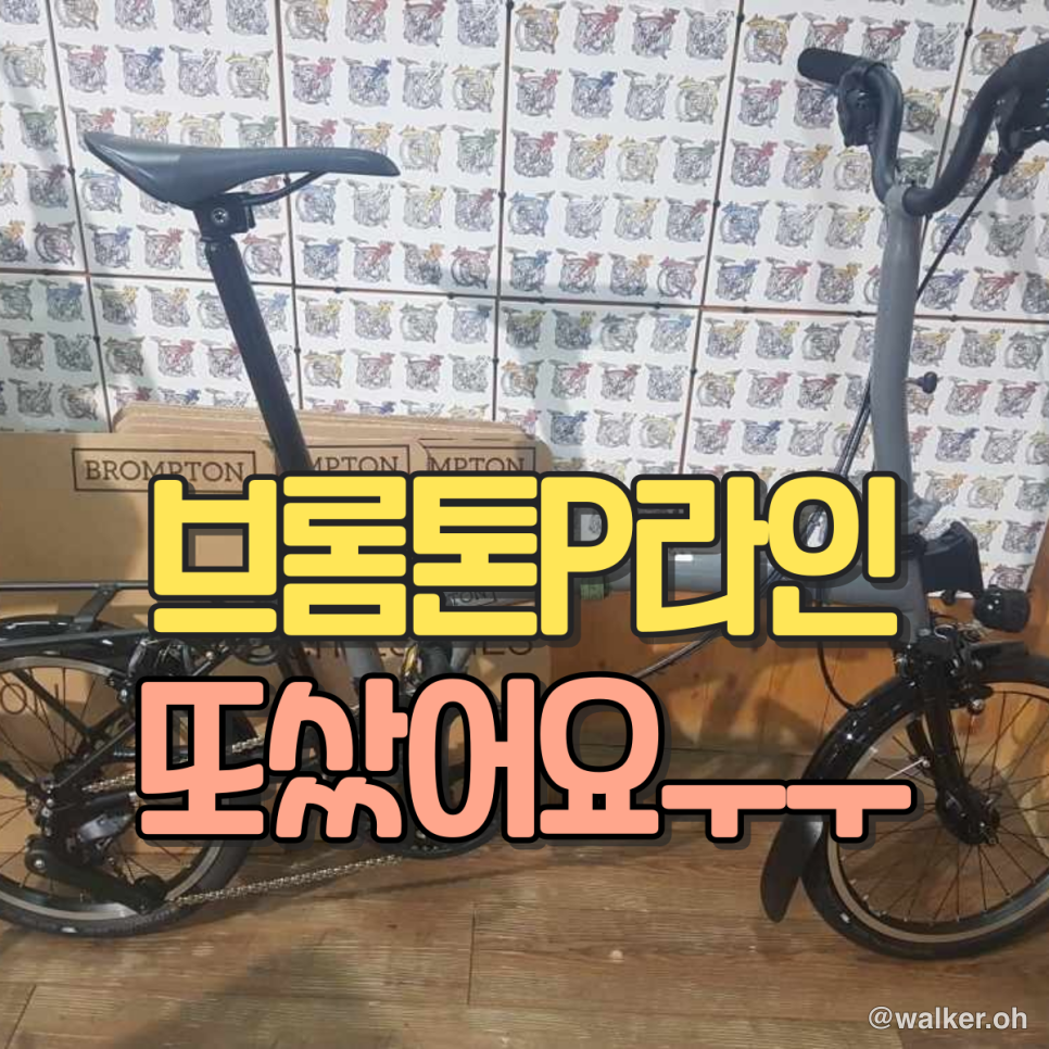 브롬튼 P 라인 재출고