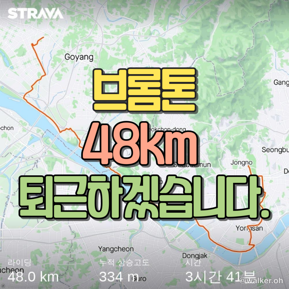 브롬톤 자퇴...