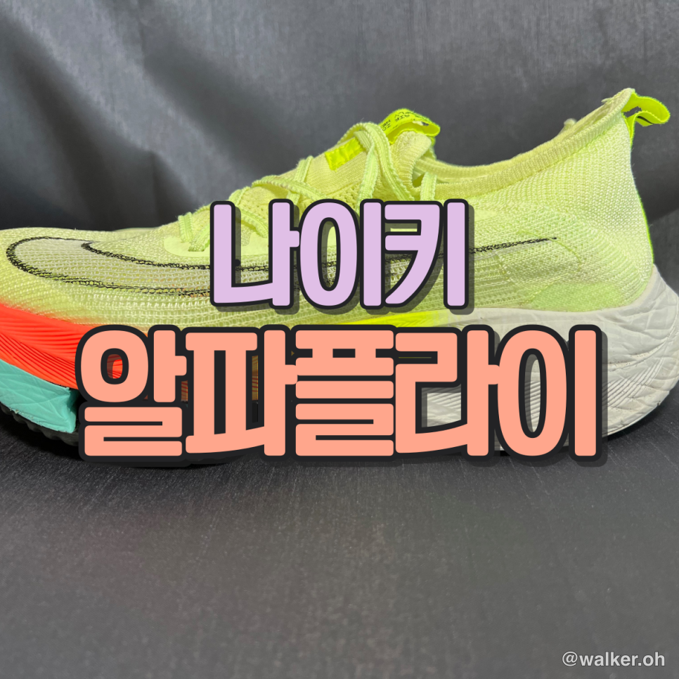 나이키 알파플라이 사용기