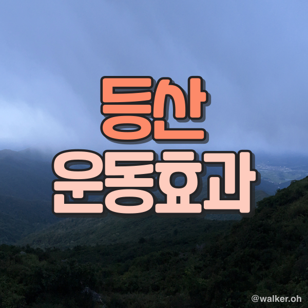 등산 운동 효과 분석