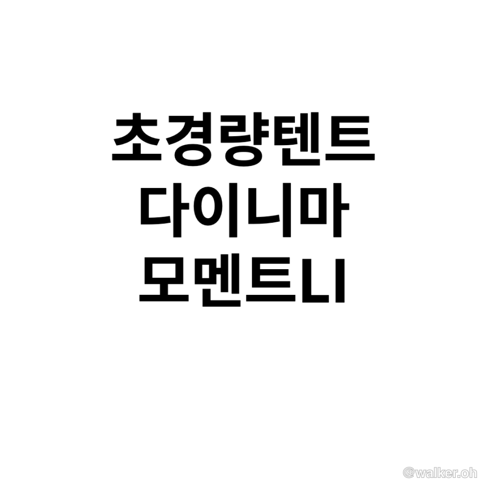 초경량 다이니마 텐트 moment dw li 텐트 해외직구 구입기