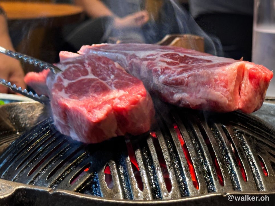상암동 징기스칸 양고기 맛집 직화 구이 홋카이도 삿포로