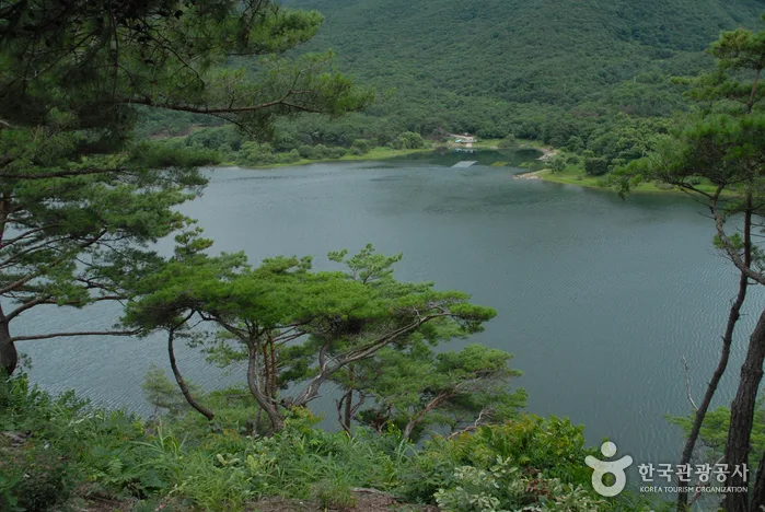 코스 정보