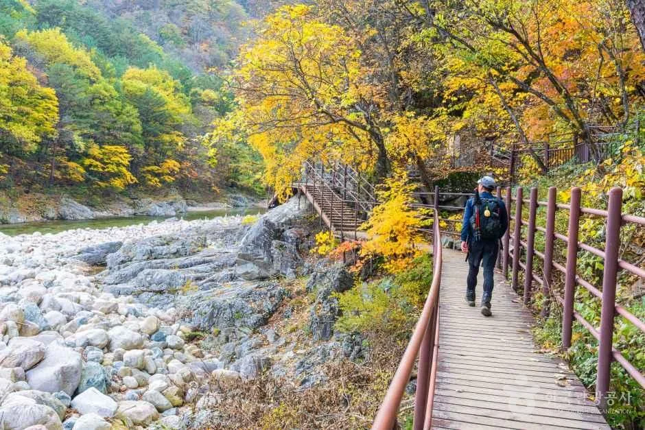 복귀 계획