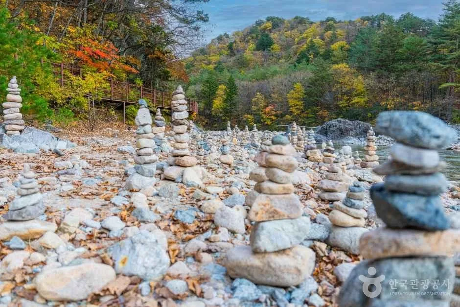 안전·주의