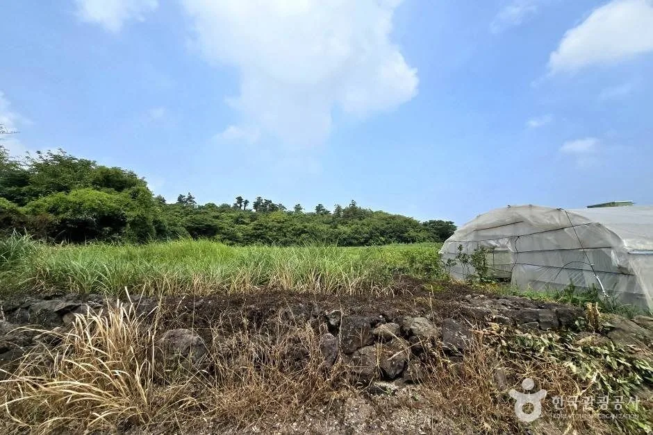La Ruta Ciclista Fantástica de Jeju: recorrido, distancia y sus 9 centros de certificación