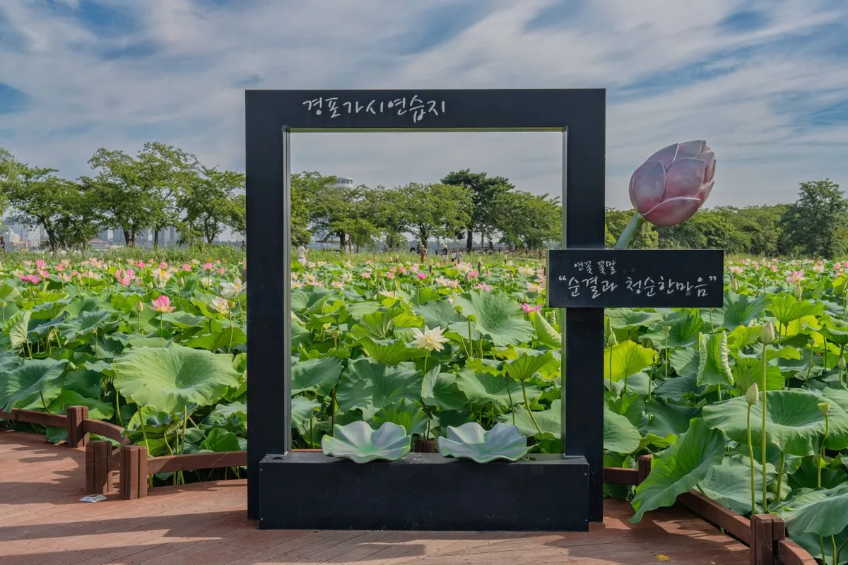 외국인 여행자 팁