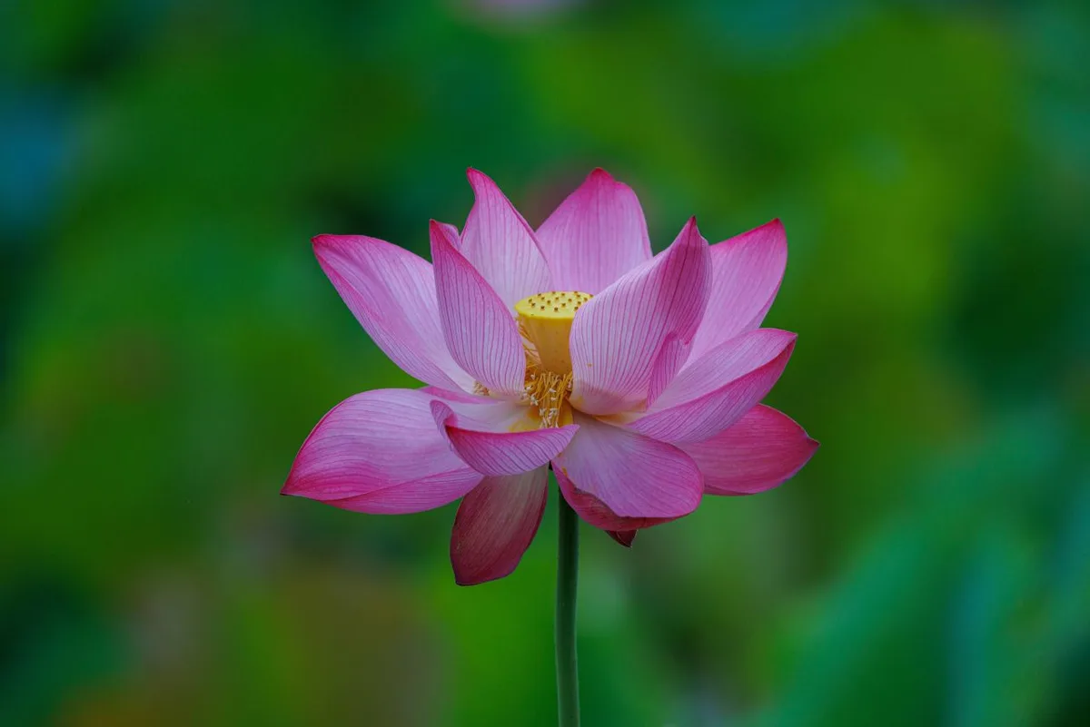시즌·날씨·장비