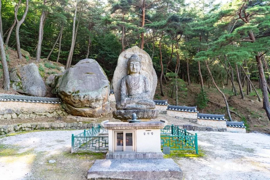 Ruta ciclista histórica de Gyeongju: recorrido, distancia y vuelta