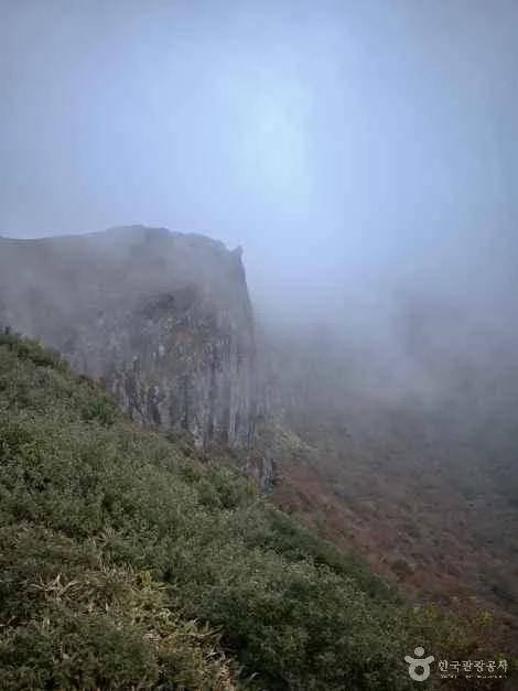 코스 정보