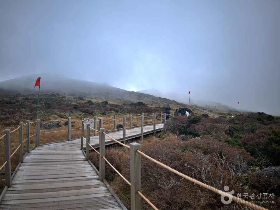 주변 먹거리