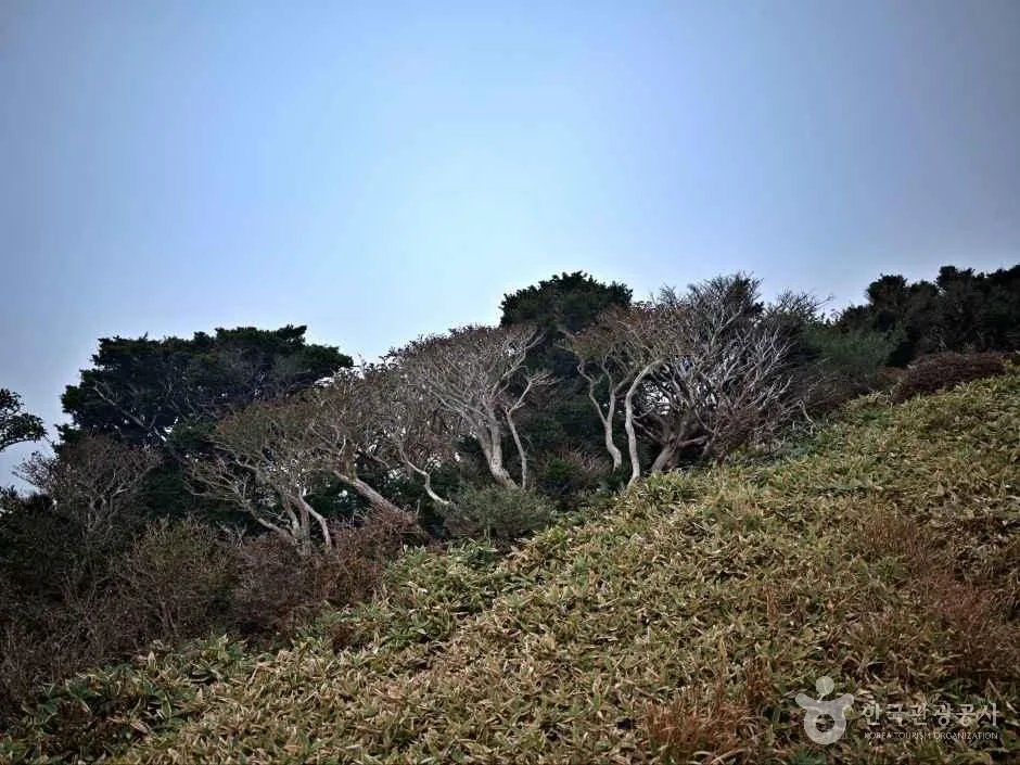 보급·편의시설