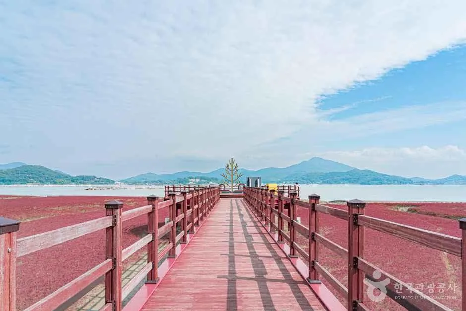 주변 먹거리