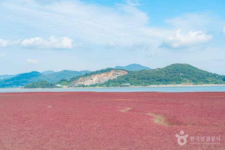 복귀 계획