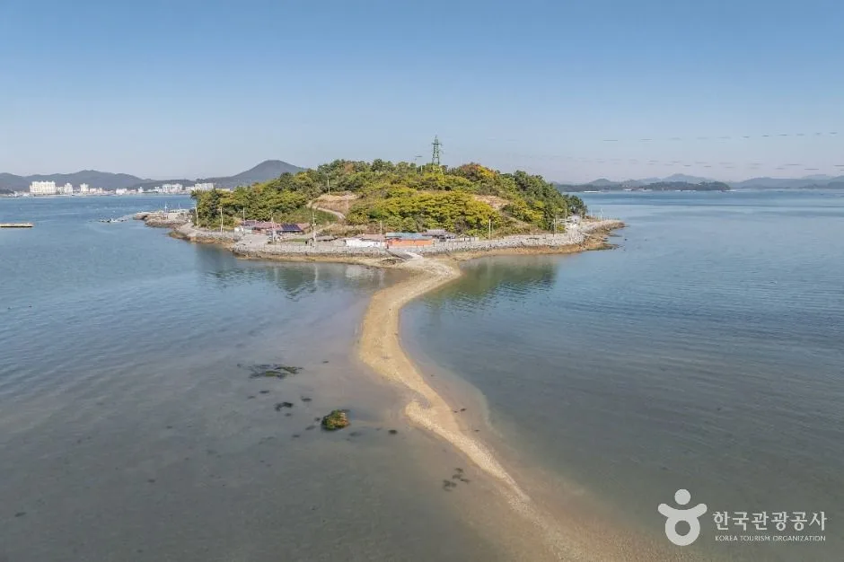 코스 정보