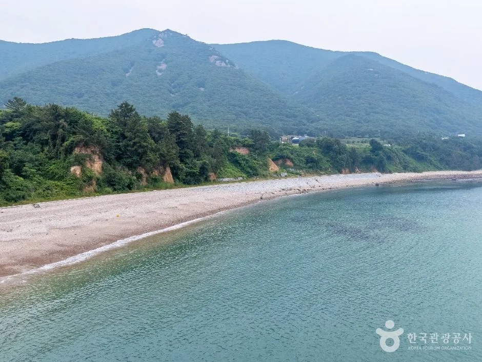 복귀 계획