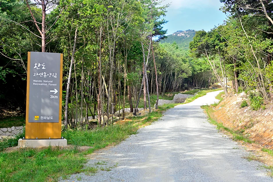 Radweg im Wando-Arboretum: Strecke, Distanz und Rückweg