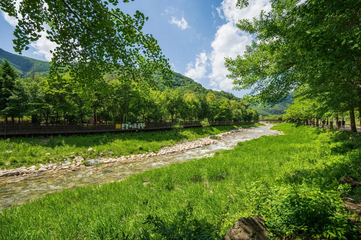 외국인 여행자 팁