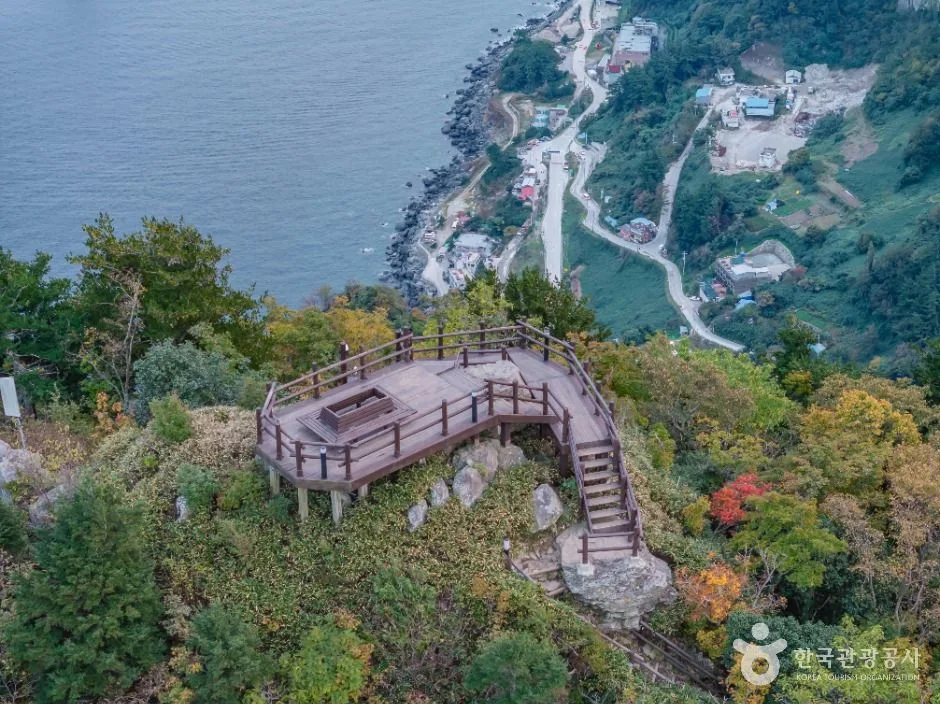 コース情報