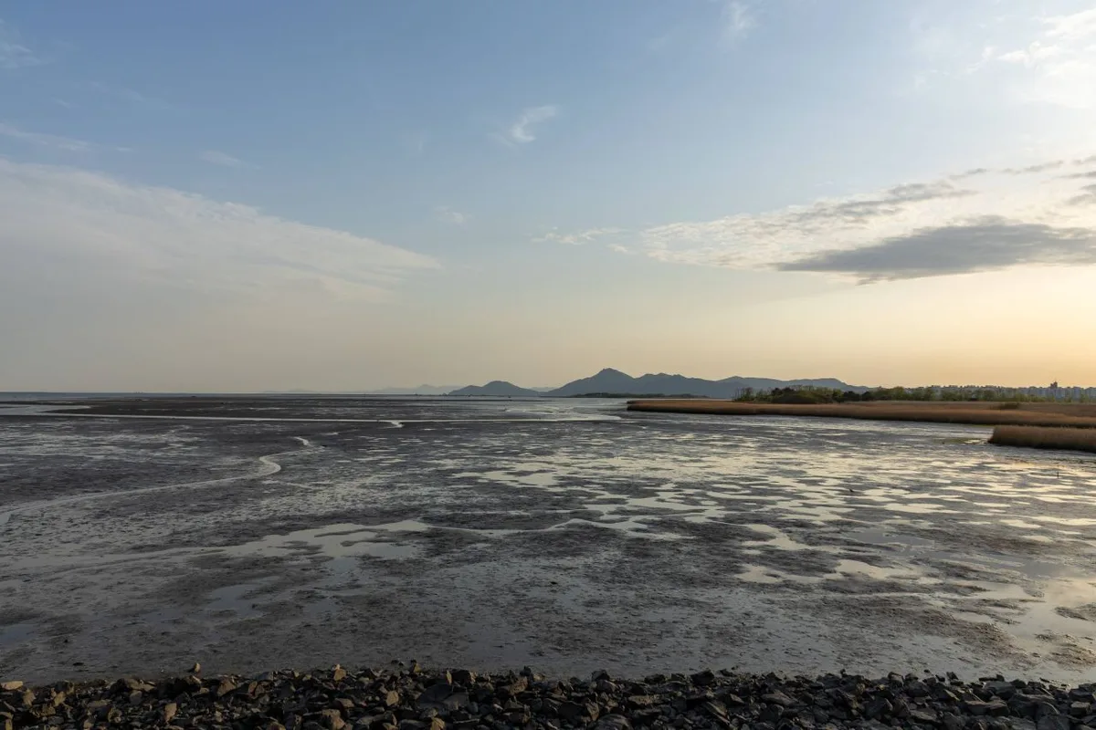 The Nakdong River Bike Path: Route, Distance, and Certification Centers