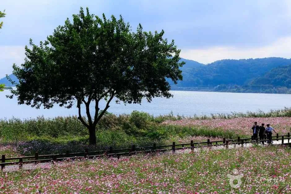 주변 먹거리