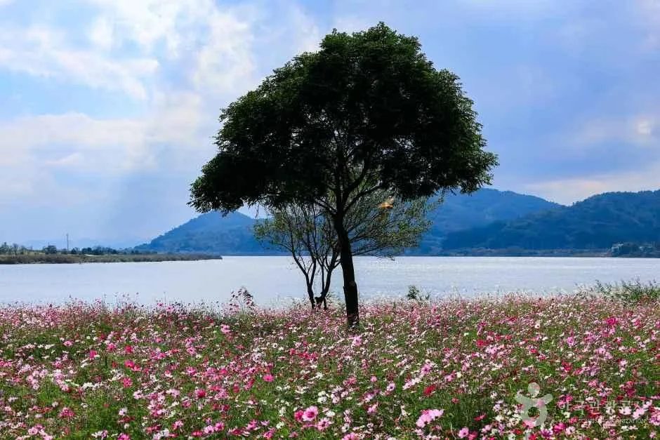 보급·편의시설