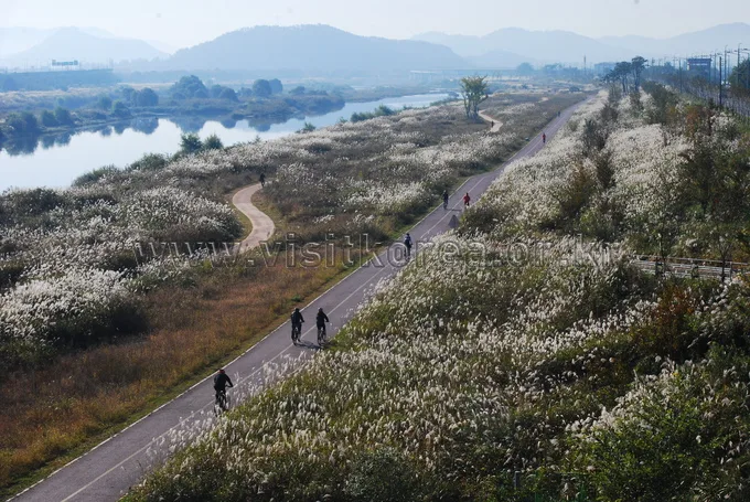 Radweg Yeongsan-gang: Strecke, Distanz und 7 Zertifizierungszentren