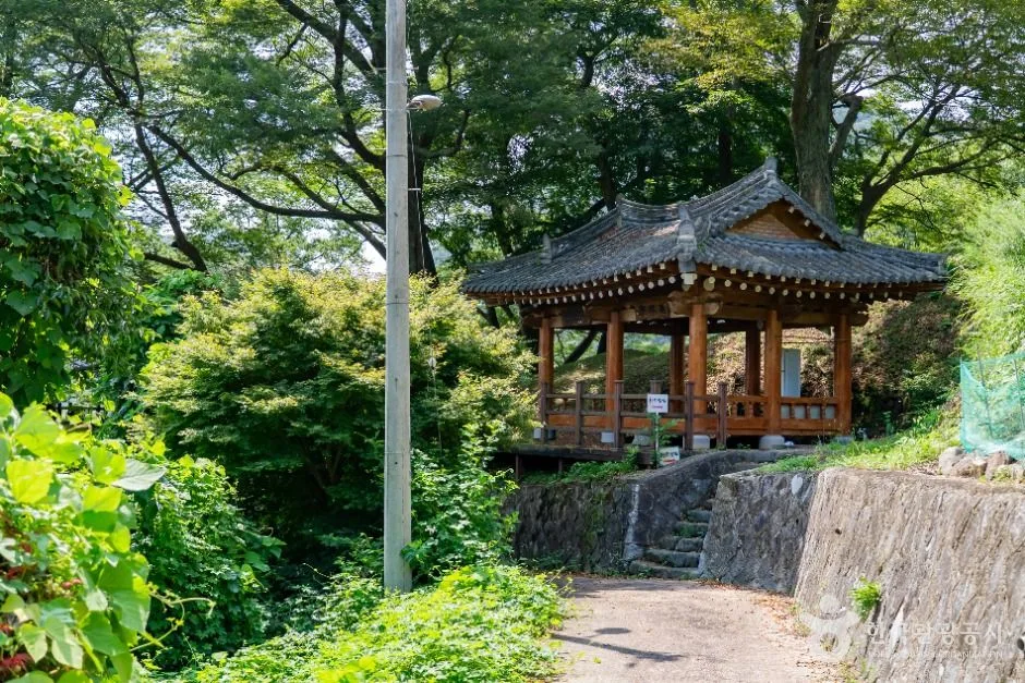 코스 정보