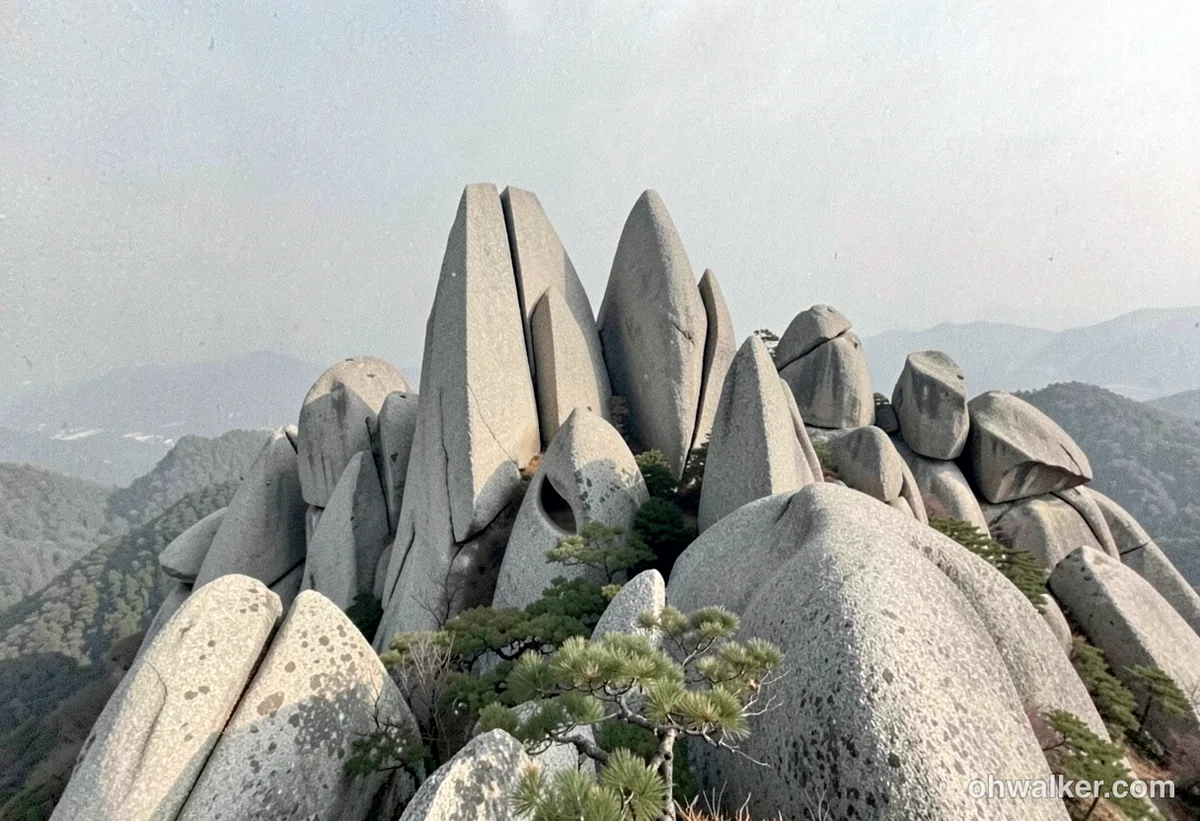 산세와 지형