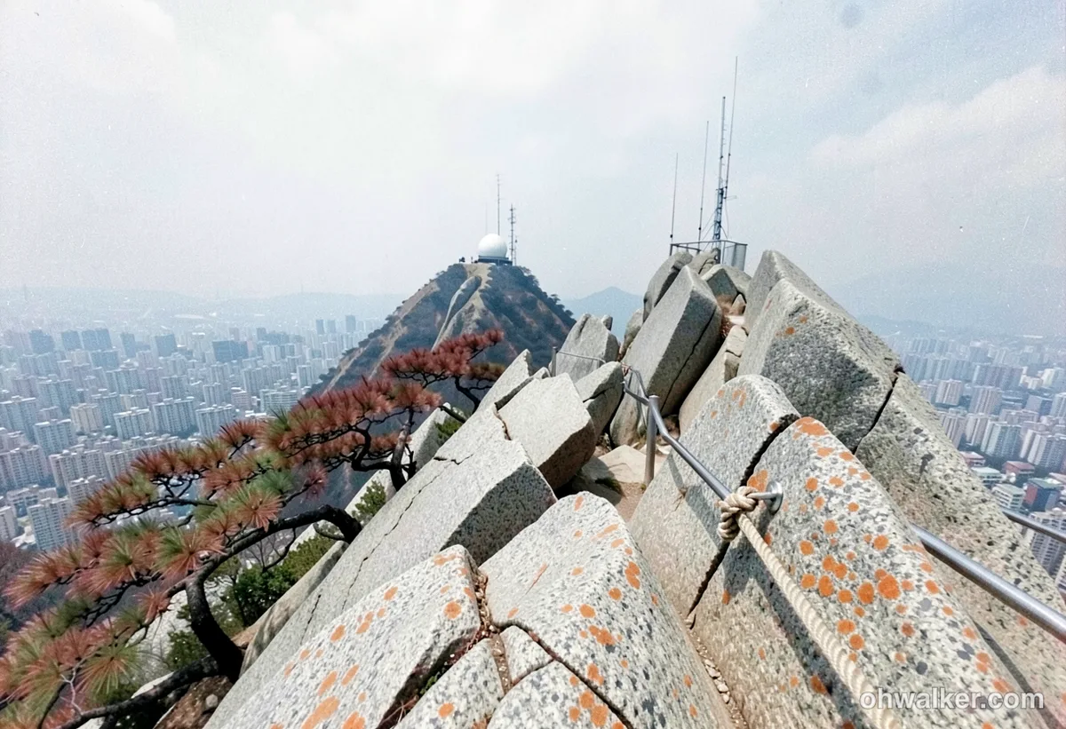 외국인 여행자 팁