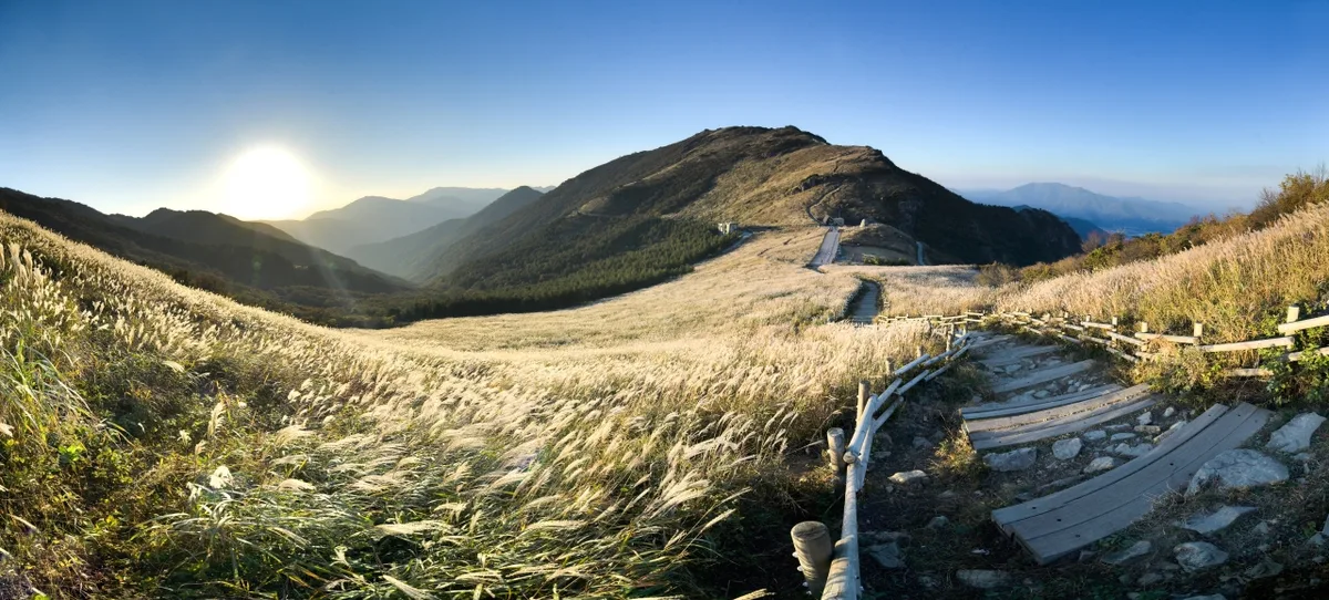 Silver Grass Plains and Rocky Views: Sinbulsan, Ulsan
