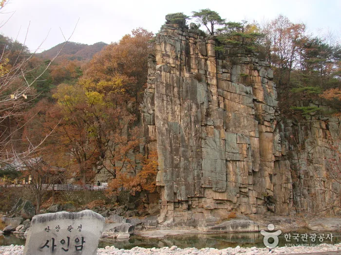 외국인 여행자 팁