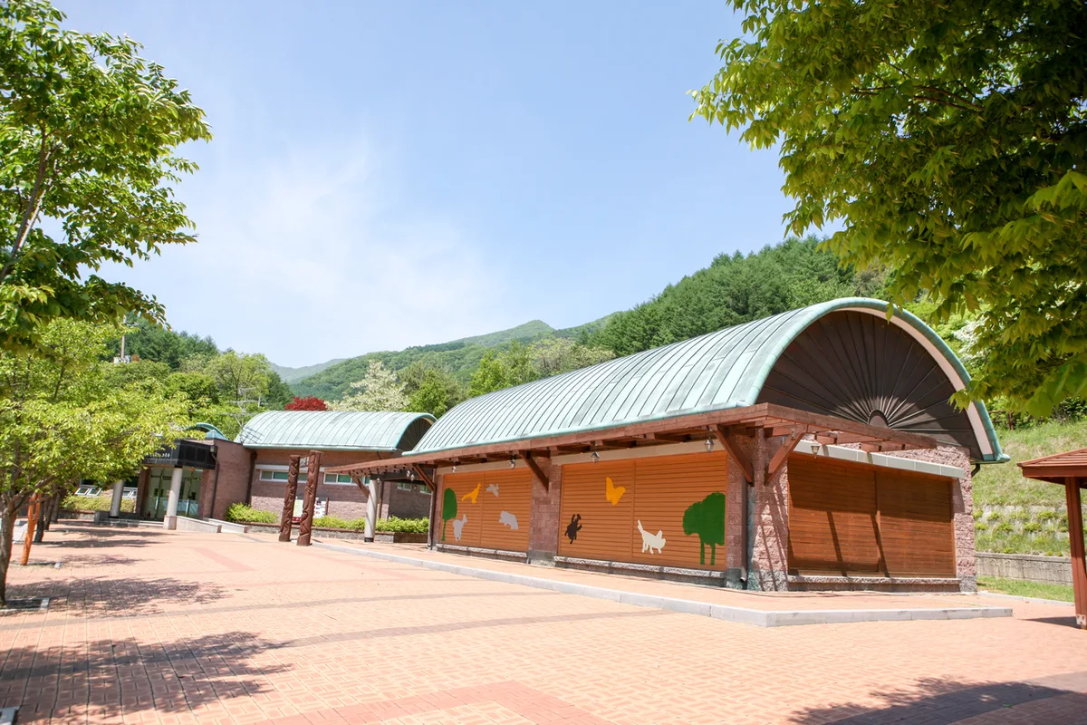등산의 느낌