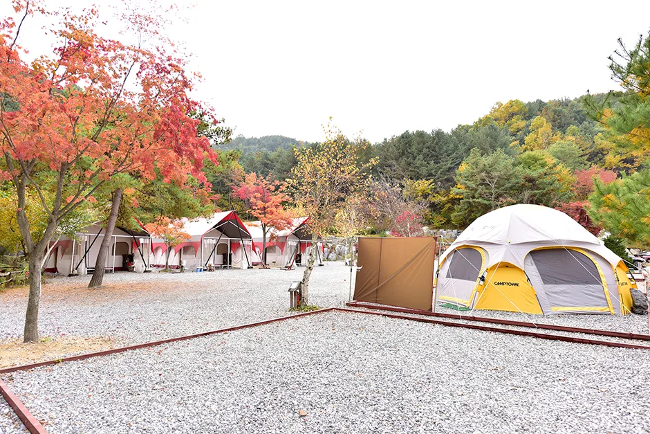 주요 코스(들머리별)