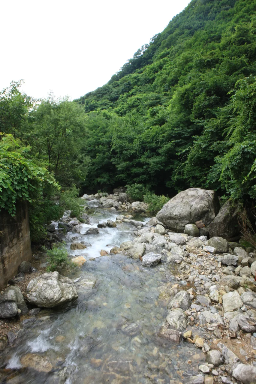 距離と所要時間