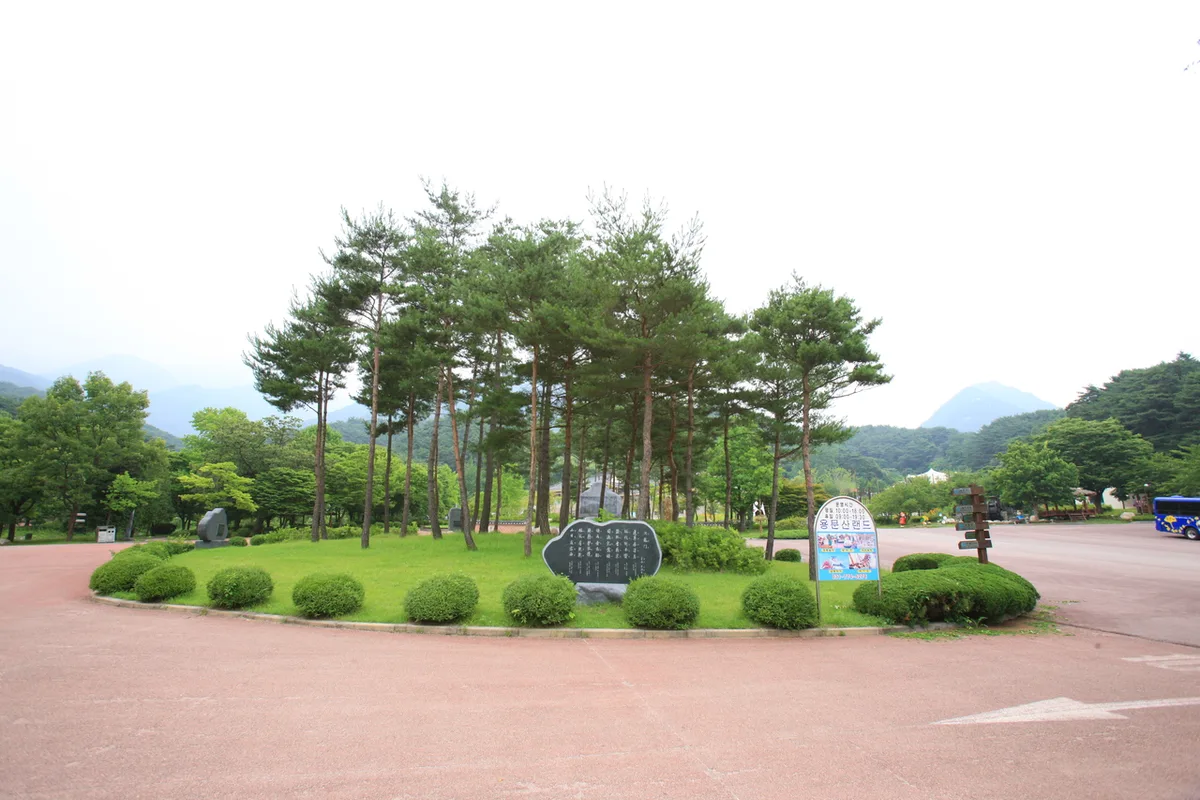 Terrain and Landscape