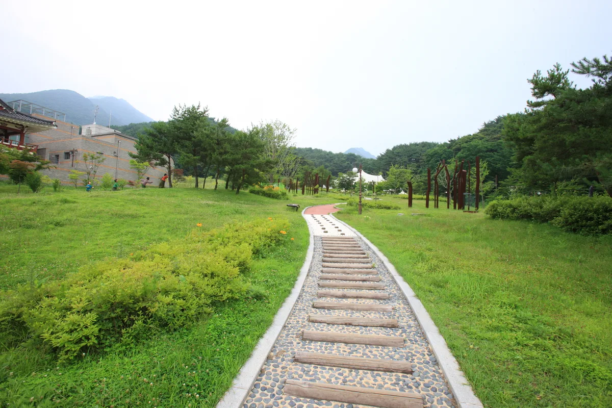 외국인 여행자 팁