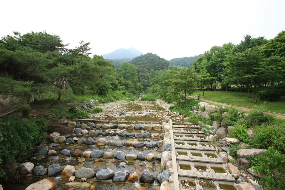 Mount Yongmun in Gyeonggi: A Thousand-Year-Old Ginkgo and a Rocky Ridge