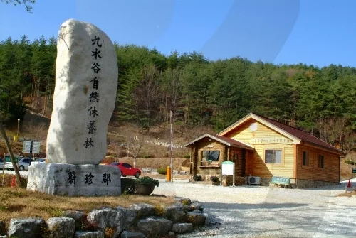 금강소나무 능선 삼림욕, 울진 응봉산