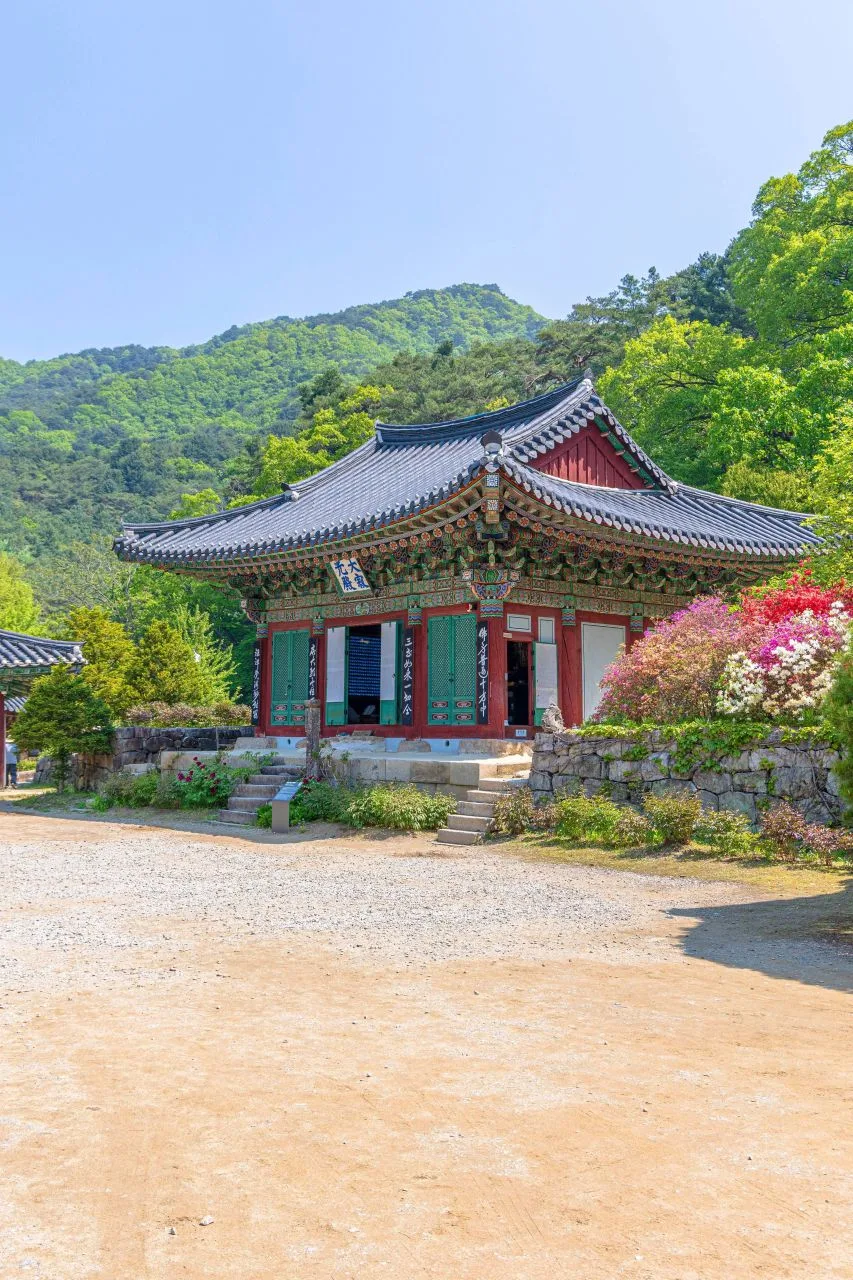 주요 코스(들머리별)